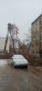 Провели санитарную опиловку деревьев