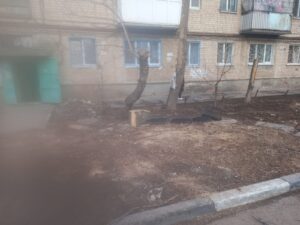 Вывоз веток и порубочных остатков