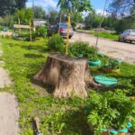 УК "ОКО" провела покос травы