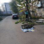 В период с 7 по 20 ноября были проведены следующие работы
